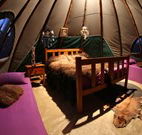 Aranyani Bison Adventure Tourist Park - E Caravan Parks
