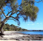 Currarong Beachside Holiday Park - E Caravan Parks