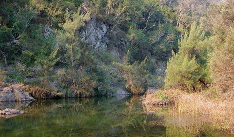 Doon Goonge Campground - E Caravan Parks 1