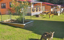 Durras Lake North Holiday Park - E Caravan Parks 1