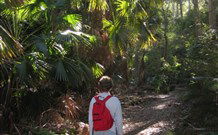 Durras Lake North Holiday Park - E Caravan Parks 7