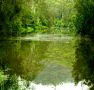Mangrove Yoga Ashram - E Caravan Parks
