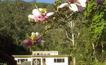 Mangrove Yoga Ashram - E Caravan Parks 2