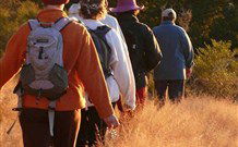 Mangrove Yoga Ashram - E Caravan Parks 3