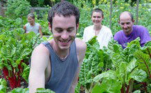 Mangrove Yoga Ashram - E Caravan Parks 8