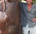 Michael's Clarence Valley Retreat - E Caravan Parks