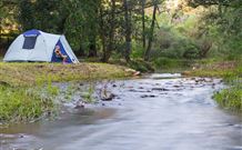 Nymboida Camping & Canoeing - E Caravan Parks 0