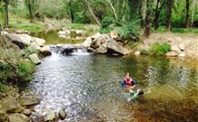 Nymboida Camping & Canoeing - E Caravan Parks 2