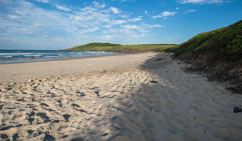 Racecourse Campground - E Caravan Parks 2