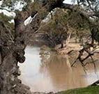 Trilby Station - E Caravan Parks