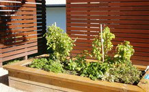 Woolgoolga Beach Holiday Park - E Caravan Parks 4