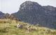 Emirates One&Only Wolgan Valley - thumb 2