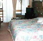 Beachview Motel Bermagui - Bermagui - E Caravan Parks