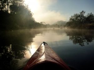 Nymboida Camping & Canoeing - E Caravan Parks 4