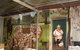 Criterion Hotel Gundagai - thumb 1