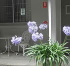 Pine Lodge Motel - Woolgoolga - E Caravan Parks