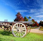 Oaks Ranch  Country Club - E Caravan Parks