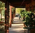The Vineyard Motel - Cowra - E Caravan Parks