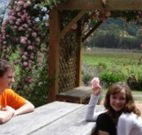 Back Forest Retreat - E Caravan Parks