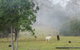 Hillview Farmstay - thumb 1
