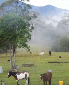 Hillview Farmstay - E Caravan Parks 1