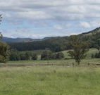 Ingleden Park Bed And Breakfast Farmstay Cottages - E Caravan Parks