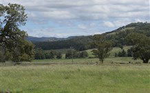 Ingleden Park Bed And Breakfast Farmstay Cottages - E Caravan Parks 0