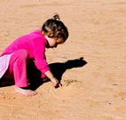 Stony Creek Farm B and B - E Caravan Parks