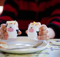 Cosy Cow Farmstay Bed and Breakfast - E Caravan Parks