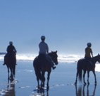 Whispering Brook - E Caravan Parks