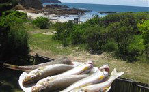 60s Beach House Tomakin - E Caravan Parks 1