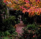 Gulgong B and B - E Caravan Parks