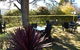 Norwood Mountain Lodge - thumb 1