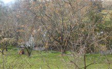 Sheridan B And B - E Caravan Parks 2