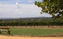 The Vineyard Motel - E Caravan Parks 1