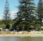 Bundle Hill Cottages - E Caravan Parks