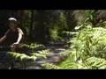 Currawong Cottage Blackheath - E Caravan Parks 1