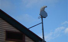 Hat Head Holiday House - E Caravan Parks 6