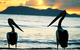 Villa Marine Holiday Apartments - thumb 19