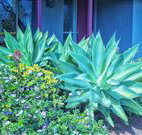 Retreat Homestead - E Caravan Parks