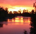 Roches Family Hotel - E Caravan Parks