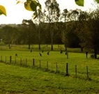 Stone Cottage Mittagong - E Caravan Parks