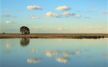 Valley View Cottage Hunter Valley - E Caravan Parks 4
