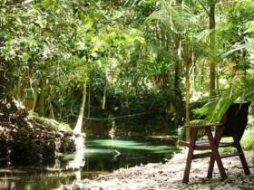 Daintree Wilderness Lodge - E Caravan Parks 1