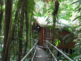 Daintree Wilderness Lodge - E Caravan Parks 2
