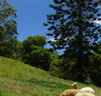 Wattle Gully Retreat - E Caravan Parks