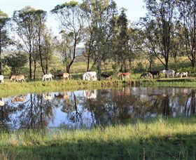 Destiny Boonah ECO Cottages And Donkey Farm - E Caravan Parks 1