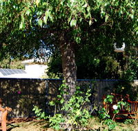 BEST WESTERN Wanderlight Motor Inn - E Caravan Parks