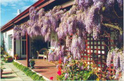 Woodchester Bed And Breakfast - E Caravan Parks 1
