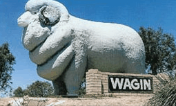 Wagin Motel - E Caravan Parks 0